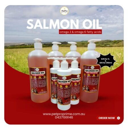 Salmon Oil 1L